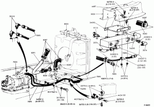 OIL COOLER LINES--LN600/700
