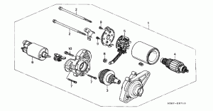Starter, components
