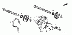 Timing belt pulley, bearing