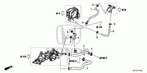 WATER HOSE(3.5L)(1)