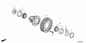 Differential