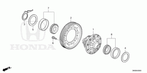 Differential