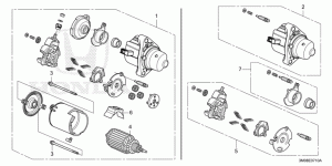 Starter, components
