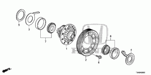 Differential