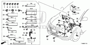 WIRE HARNESS(RH)(2)