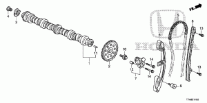 Timing belt, chain