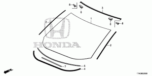 FRONT WINDSHIELD