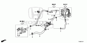 WATER HOSE(1.5L)(SOHC)