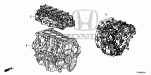 M/T, components