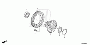 Differential