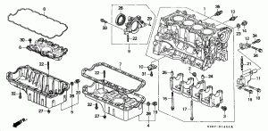 Oil pan, crankcase
