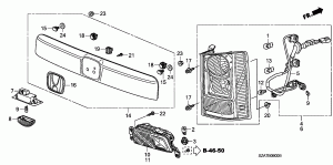 TAILLIGHT/LICENSE LIGHT